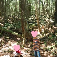 どこで撮っても同じ風景