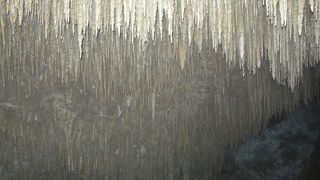 沖縄の自然と文化