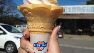 川平湾でブルーシール