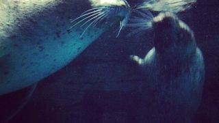 水戸芸術館の帰りに