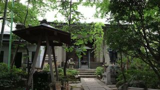 見事な植栽です