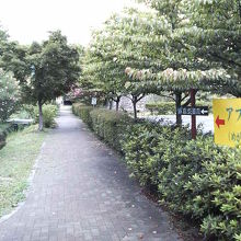 駅近くから続く道には花や緑が多いです。