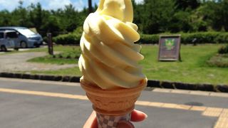 小みかんソフトクリームがおいしい