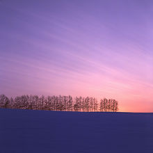 10年程前に行ったときの写真（冬）