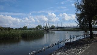 自然豊かな水郷公園