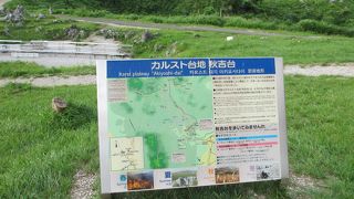 大自然を満喫！