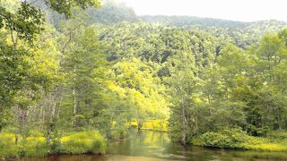 夏に歩くには最適なコース