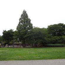 大谷田公園1