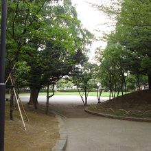 大谷田公園2