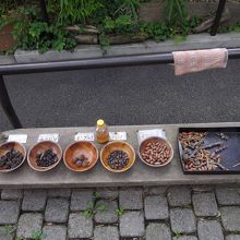 どんぐりの展示