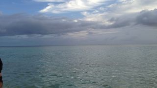 掘り出し物を探す楽しみ