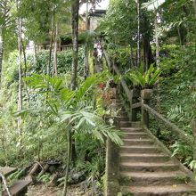 末広がりの階段