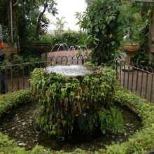 後ろ向きにコインを投げ入れる。真ん中に入ると願いが叶うとか