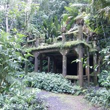 水族館を造ろうと思った入口（中は通行禁止）