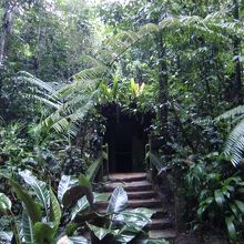 水族館を造ろうと思った裏側にまわって