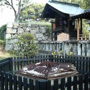 真田神社の裏のご利益ある井戸跡