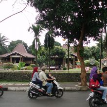 園内をバイクで走ってる？　持ち込み可？？　でもこれが正解！