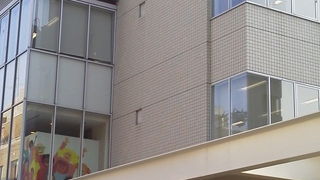 立派な建物「ユニセフハウス」～高輪～
