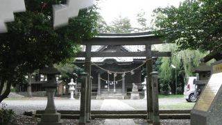 いい味が出ています。