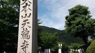 八方にらみの龍・・・