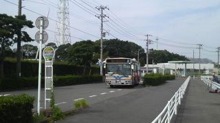 海釣り施設へのバスに注意して下さい。