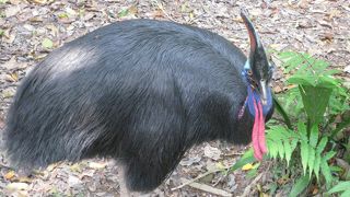 一流の観光スポットです