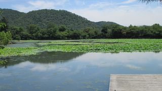 嵯峨御所（大覚寺）内