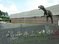 福井県立恐竜博物館