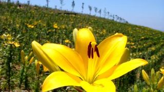 最高のロケーション