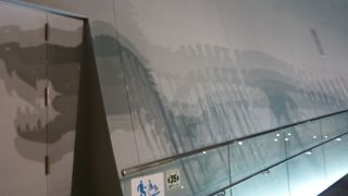 街中恐竜だらけ