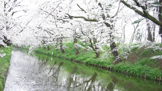 弘前さくらまつり