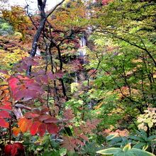 奥に滝が見えます