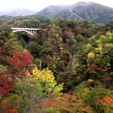 鳴子峡の黄葉