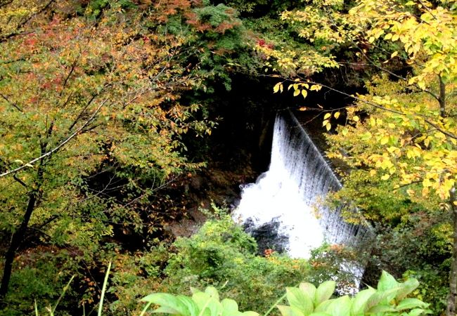 遊歩道の滝