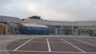 そば打ち体験もできるようです