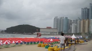 朝早く、涼しいときに散歩するのが気持ちいいです
