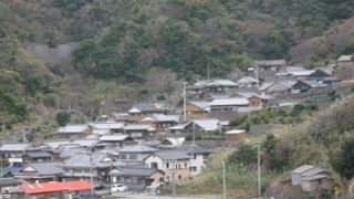 近づかないと解らない