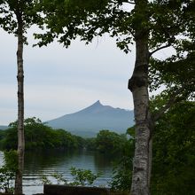 大沼から眺める駒ヶ岳のワンショット