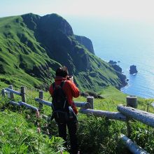 桃岩展望台コースからも猫岩が見えます