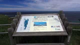 強風の中、青い海に浮かぶトド島を見た！ 