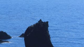 後ろ姿がなんともキュート！