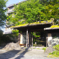 紫蘭が屋根にさいてる