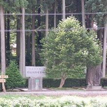 日本最古の鉄道防雪林の石碑