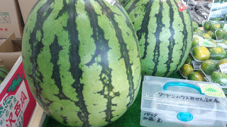 国道１号線沿い立ち寄りやすい