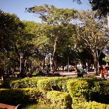 花と緑が綺麗な広場です