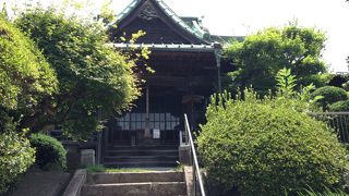 植栽が綺麗です。