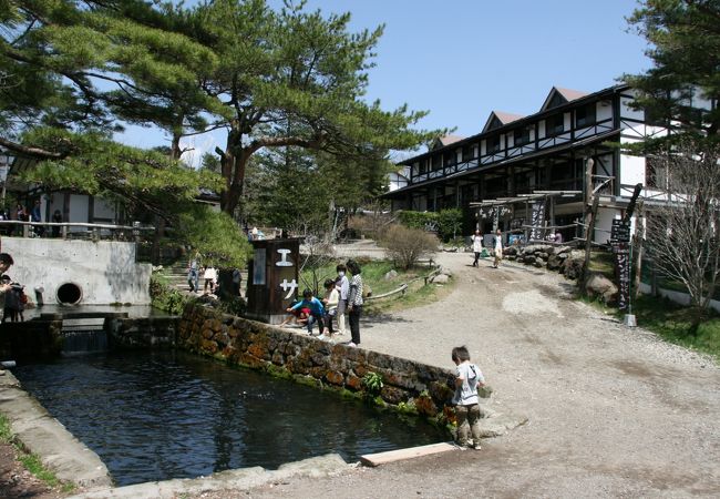 那須高原 南ヶ丘牧場