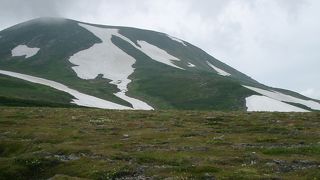 白鳥の雪渓が素敵。