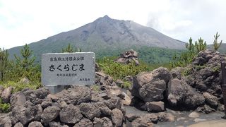 桜島が一望できます