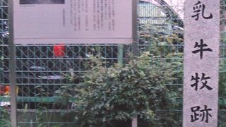 乳牛を飼育していたことから「乳牛牧」